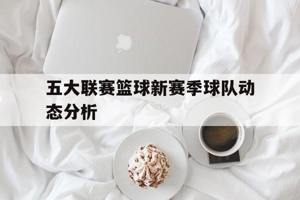 开云体育官网-五大联赛篮球新赛季球队动态分析